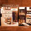 STRANGE LAB - Influences